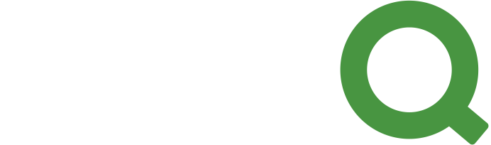 Qlik Qlik